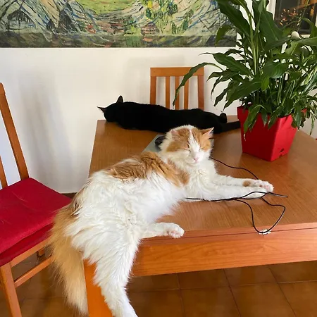 Bed & Breakfast A Casa Di Elena
