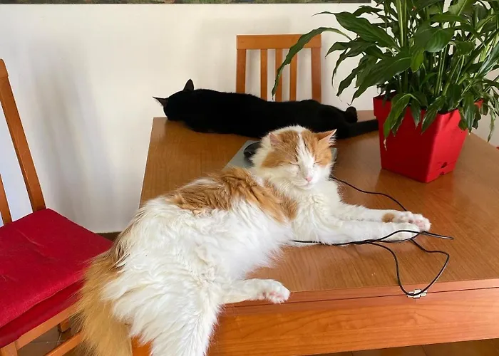 Bed & Breakfast A Casa Di Elena